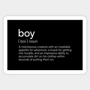 Funny Boy Definition Sticker